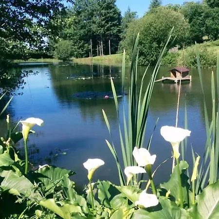 La Sapiniere 24 Maison 6 Personnes Etang Piscine Mini Golf